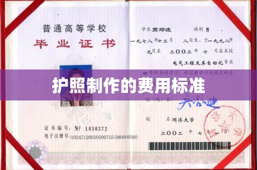 合山护照制作的费用标准