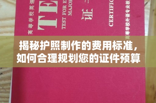 合山揭秘护照制作的费用标准，如何合理规划您的证件预算