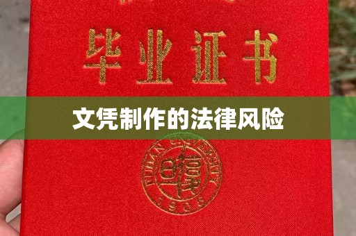 合山文凭制作的法律风险