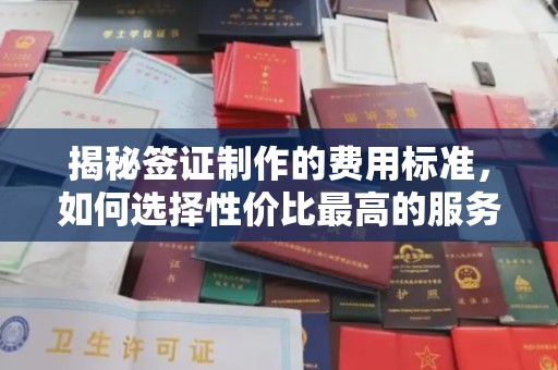 合山揭秘签证制作的费用标准，如何选择性价比最高的服务？
