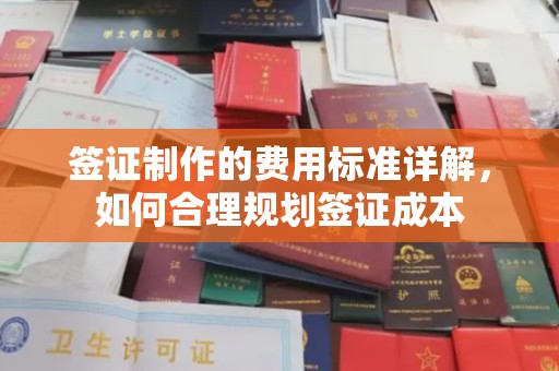 合山签证制作的费用标准详解，如何合理规划签证成本