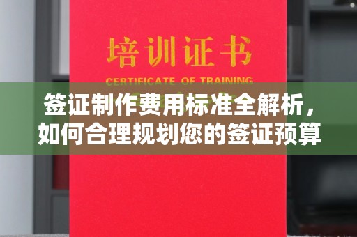 合山签证制作费用标准全解析，如何合理规划您的签证预算？
