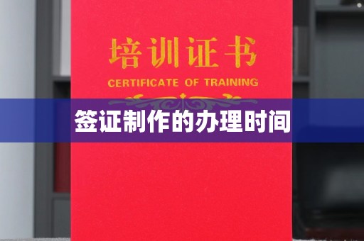 合山签证制作的办理时间